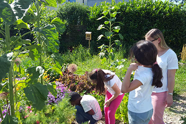 Nachbarschaftstreff Blumenau: Gruppenstunde der Bildungspatenkinder im Interkulturellen Garten